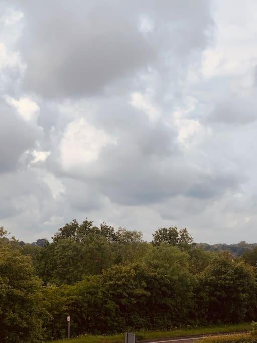 فيلا Beaulieu Park - Sleeps 10 - Chelmsford Broomfield  المظهر الخارجي الصورة